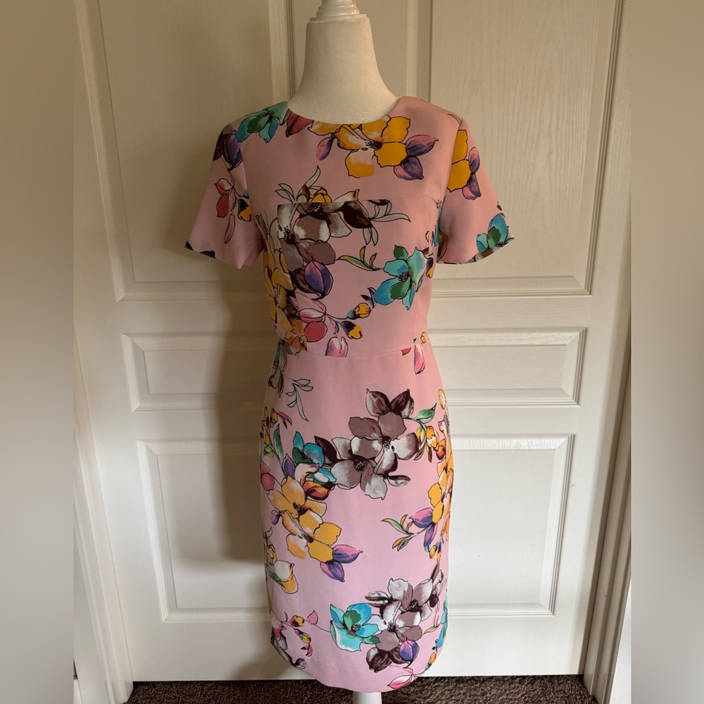 The Limited Floral Pink Dress Size 0